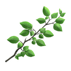 Fototapeta premium Fresh green leaves on a branch placed on a light background showcasing natural beauty and vibrant colors on transparent background