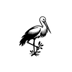 A graceful stork standing on one leg isolated on white background