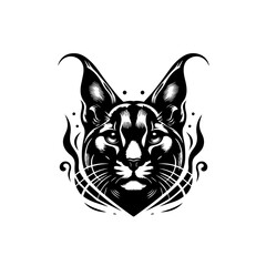 A striking caracal head is isolated on white background in black and white
