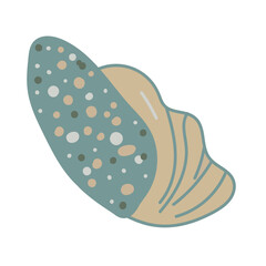 Vector illustration of a single colored sea shell on white background. 