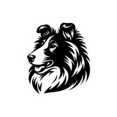 A collie dog head is isolated on white background in black and white