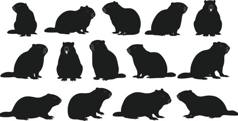 Silhouettes of cute beavers sitting and standing in various poses, isolated on white background, wildlife animals, nature illustrations