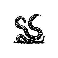 A coiled snake isolated on white background is ready to strike