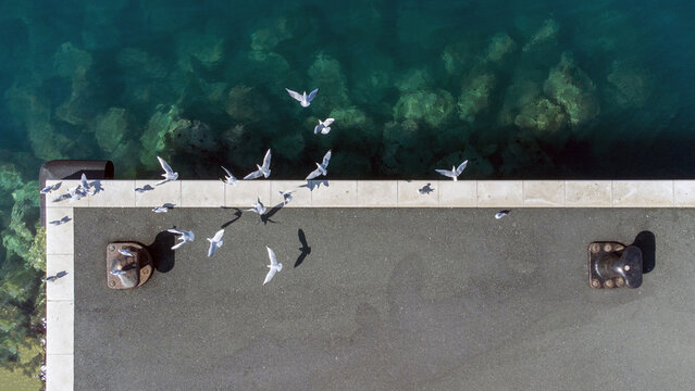 Aerial view of a flock of seagulls taking flight from a concrete pier that contrasts with the dark, clear, turquoise waters below, Split, Split-Dalmatia County, Croatia.