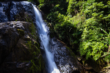 Waterfall in deep tropical rainforest with green rainy tree nature landscape