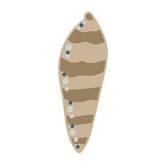 Vector illustration of a sea shell on white background. Elegant drawing for coastal graphic compositions.