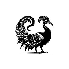 A decorative bird with ornate feathers isolated on white background