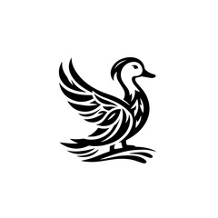 Fototapeta premium A graceful duck takes flight, isolated on white background