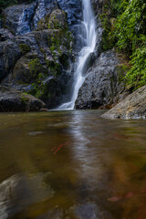 Naklejka premium Waterfall in deep tropical rainforest with green rainy tree nature landscape
