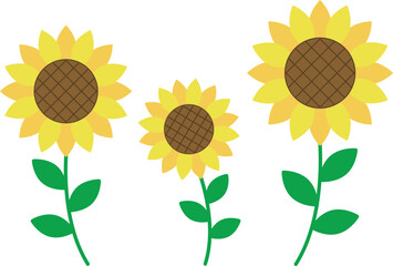 ひまわりのイラスト素材・三輪並ぶ・夏