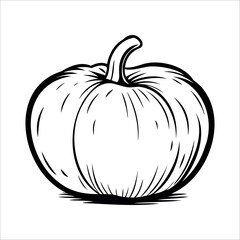 A detailed black and white illustration of a pumpkin. The pumpkin has a round shape, prominent ridges, and a short stem. It is depicted with clear outlines and shading.