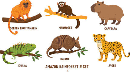 Amazon rainforest animals set, golden lion tamarin, capybara, iguana, marmoset, jaguar, armadillo, wildlife illustration, jungle fauna, exotic species, vector cartoon design