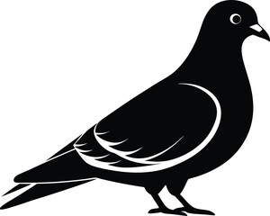 Pigeon silhouette, A pigeon full black silhouette vector illustration