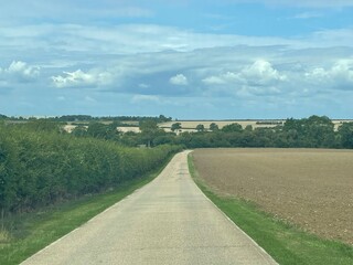 rural landscape with road