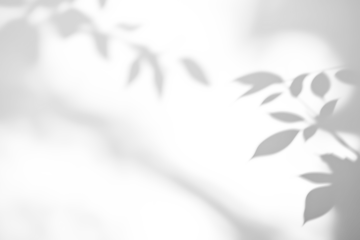 shadow overlay effects of realistic abstract natural tree leaves shadow on wall background,Summer sunlight and shadow overlay effect,shadow for photo interior backdrop studio mockup