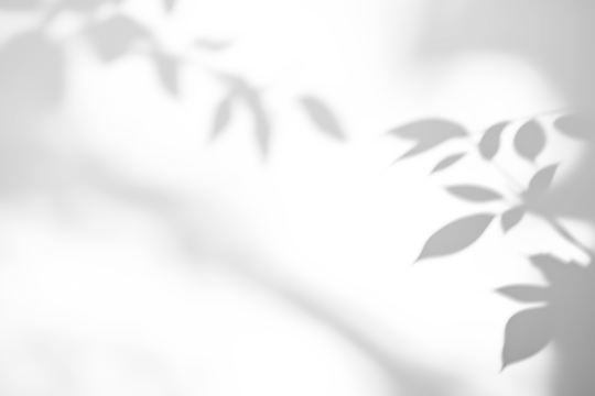 shadow overlay effects of realistic abstract natural tree leaves shadow on wall background,Summer sunlight and shadow overlay effect,shadow for photo interior backdrop studio mockup