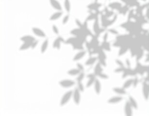 shadow overlay effect. Gray shadow of leaves isolated on white background. Plant foliage leaf shadow 
light effect. Mockup Blurred tree branch shadow. Ideal for summer spring design elements PNG