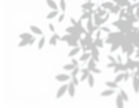 shadow overlay effect. Gray shadow of leaves isolated on white background. Plant foliage leaf shadow 
light effect. Mockup Blurred tree branch shadow. Ideal for summer spring design elements PNG