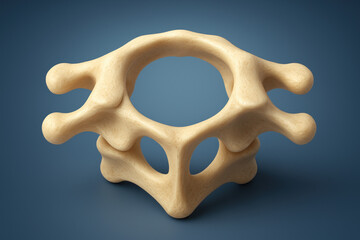 Atlas vertebra illustration