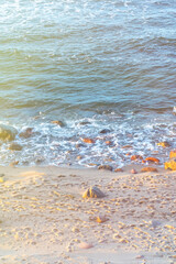 An ordinary evening coastline with an empty beach of stones, pebbles and sand.