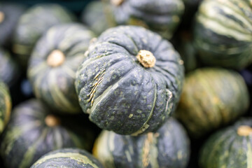pumpkin on the market