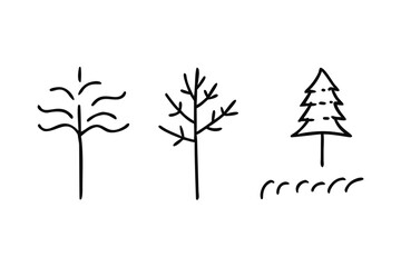 Three simple line art trees on a white background nature plant