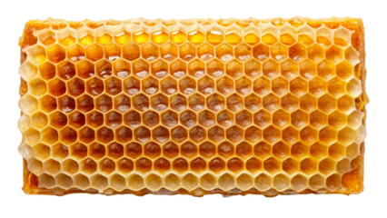 honeycomb isolated on white background