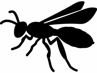 Black and white wasp silhouette, wasp Silhouette, Striking Vector Art, Free Clipart & Stinger Designs, Clipart, Tattoo, Logo, Icon & Insect art Design, Wasp isolated on white background
