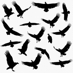 Collection of black vulture silhouettes in various flight and landing poses.