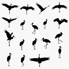 Collection of stork silhouettes in various poses, including flight and standing.