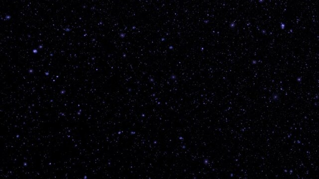 Loop glow purple blue stars particles falling down animation on black abstract background. Animation of fiery white blue pink glowing flying ember burning ash particles.