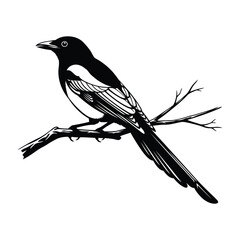 Magpie Bird Silhouette Sitting on Branch – Vector Illustration