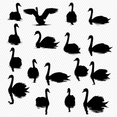 Collection of black swan silhouettes in various poses on water. © Adji