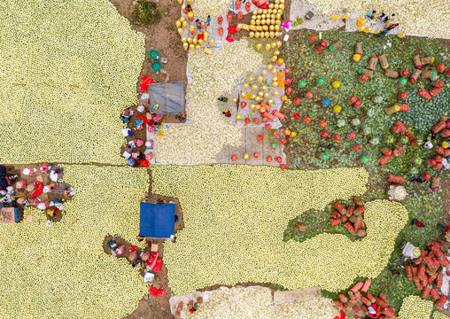Bogura, Bangladesh - 27 November 2019: Aerial view of vibrant produce, a patchwork of golden grains and vivid fruits, spread across the land like an abstract painting.