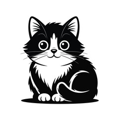 Adorable fluffy black and white kitten sitting