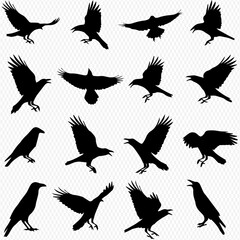 Collection of sixteen crow silhouettes in various flight and perched positions.