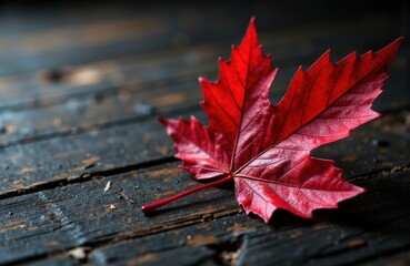 A vibrant red maple leaf resting on a dark wooden surface