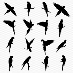 Obraz premium Collection of sixteen parrot silhouettes in various poses, perched and in flight.