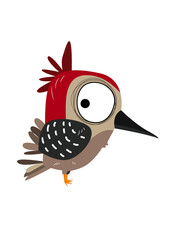 Cute bird vector illustration