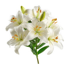 Naklejka premium A beautiful bouquet of white lilies with green stems isolated on transparent background