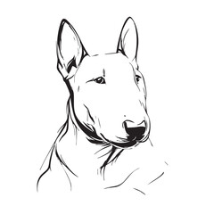 Obraz premium A black and white sketch of a standing Bull Terrier dog.