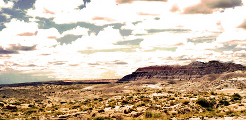 Bleak Landscape Petrified Forest National Park Arizona