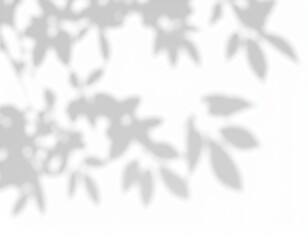 shadow overlay effect. Gray shadow of leaves isolated on white background. 
Plant foliage leaf shadow light effect. Mockup Blurred tree branch shadow. Ideal for summer spring design elements PNG