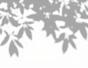 shadow overlay effect. Gray shadow of leaves isolated on white background. 
Plant foliage leaf shadow light effect. Mockup Blurred tree branch shadow. Ideal for summer spring design elements PNG