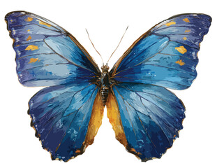 butterfly vector art