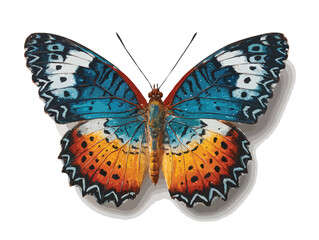 butterfly vector art