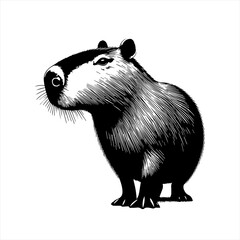 Fototapeta premium vector illustration of a panda