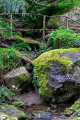 Scenic view of Limbo Waterfall surroundings, lush green vegetation and rocky terrain on S&atilde;o Miguel Island, Azores, showcasing nature&rsquo;s raw beauty and tranquility.