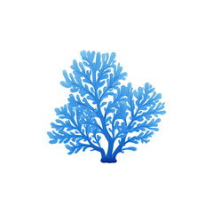 Naklejka premium Blue Coral Illustration. Marine Life And Ocean Conservation Concept Isolated On Transparent Background