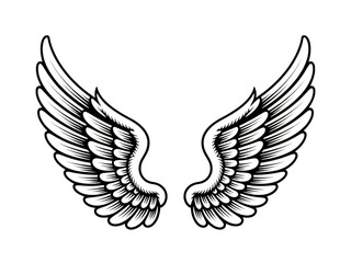 Obraz premium Detailed black angel wings isolated on transparent background